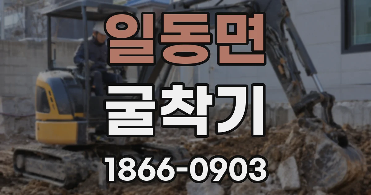 일동면 굴착기