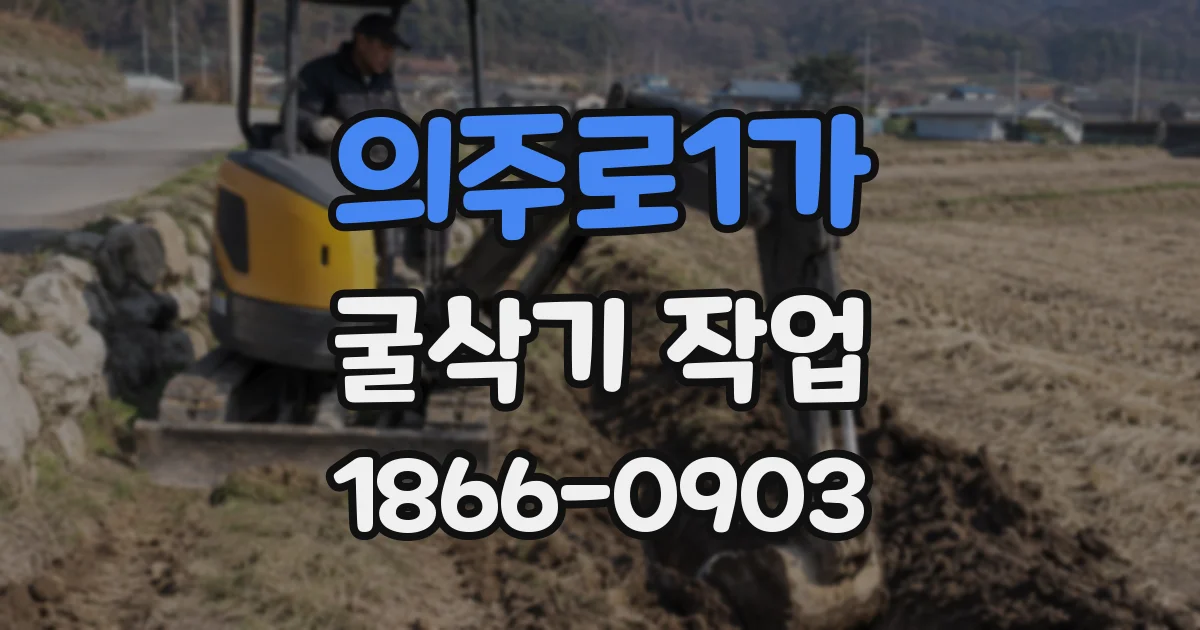 의주로1가 굴삭기 작업