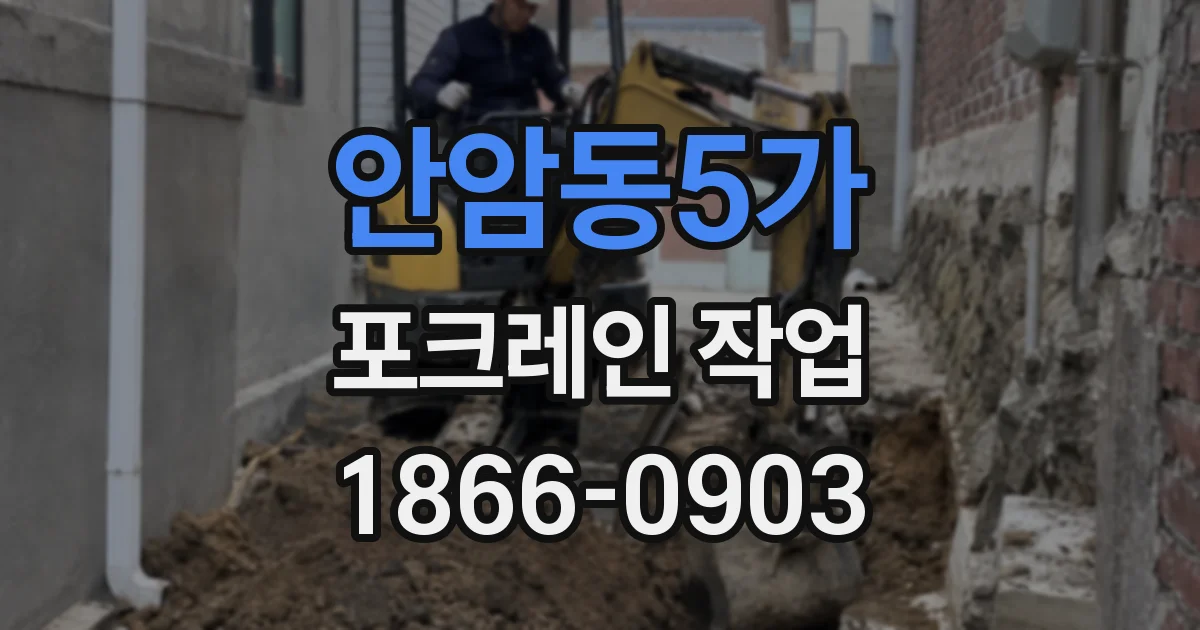 안암동5가 포크레인 작업