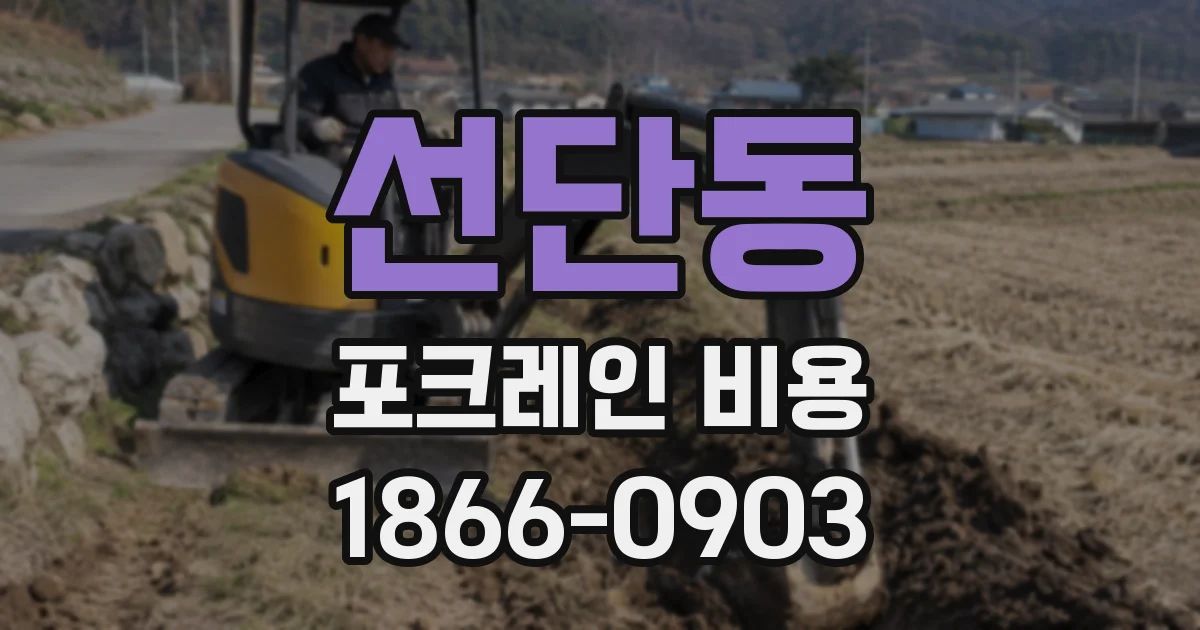선단동 포크레인 비용