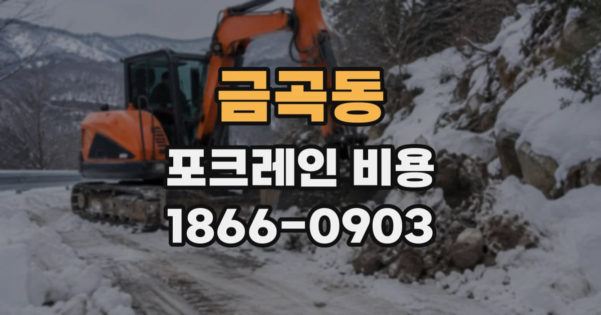 금곡동 포크레인비용