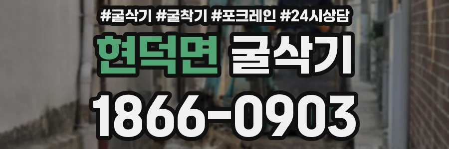 현덕면 굴삭기