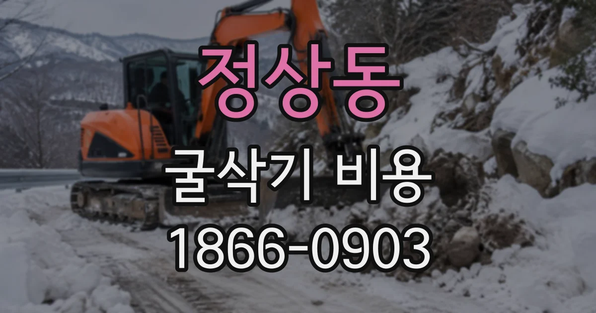 정상동 굴삭기비용
