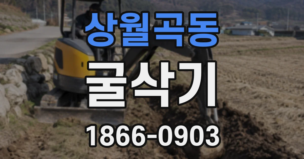 상월곡동 굴삭기