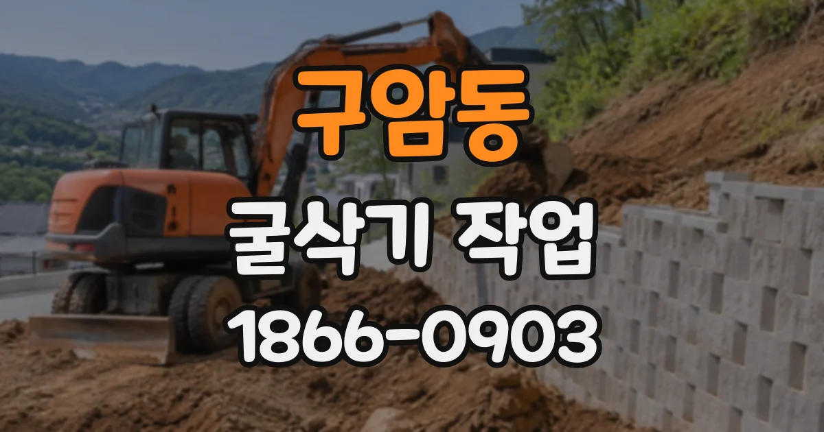 구암동 굴삭기작업