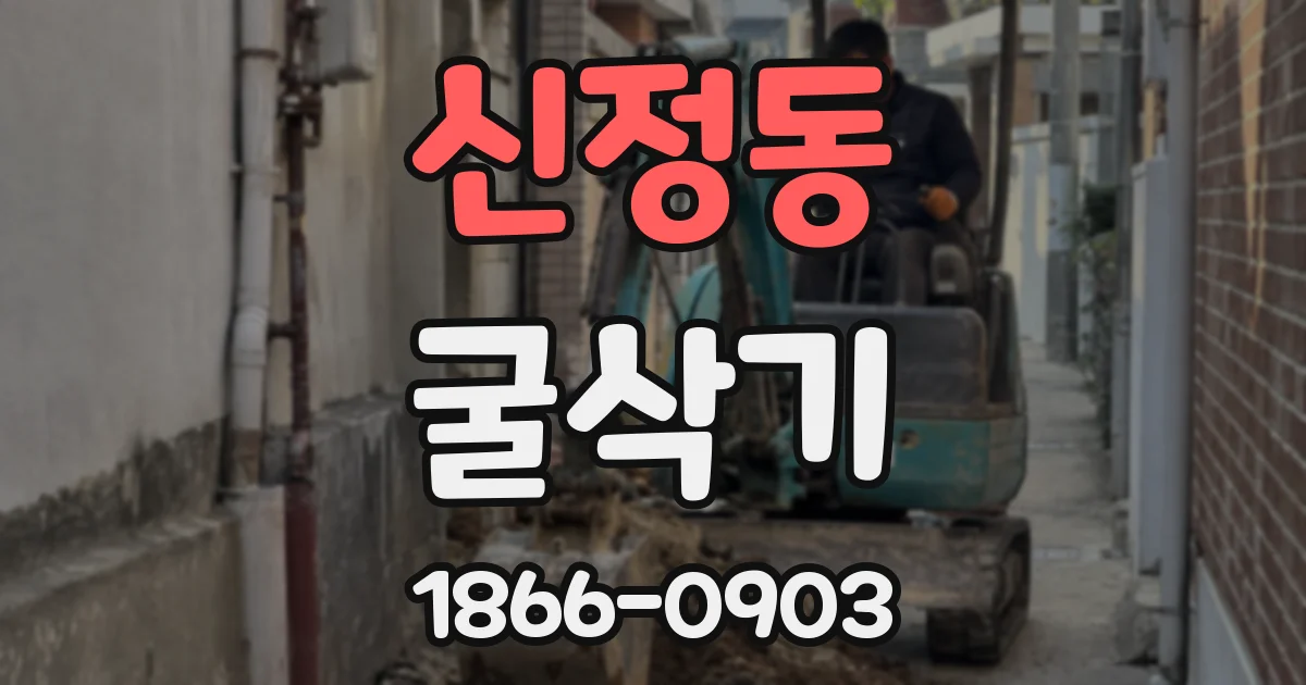 신정동 굴삭기