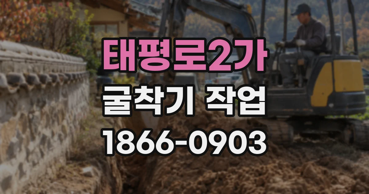태평로2가 굴착기 작업