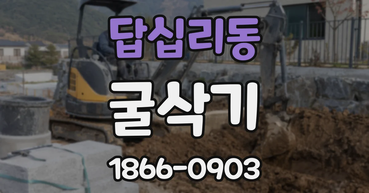답십리동 굴삭기