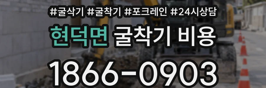 현덕면 굴착기 비용