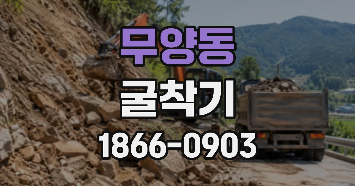 무양동 굴착기