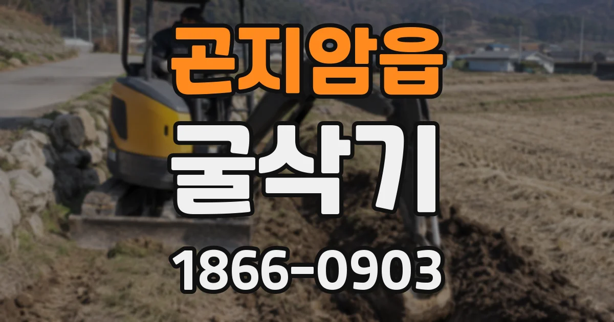 곤지암읍 굴삭기
