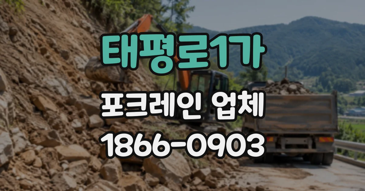 태평로1가 포크레인업체
