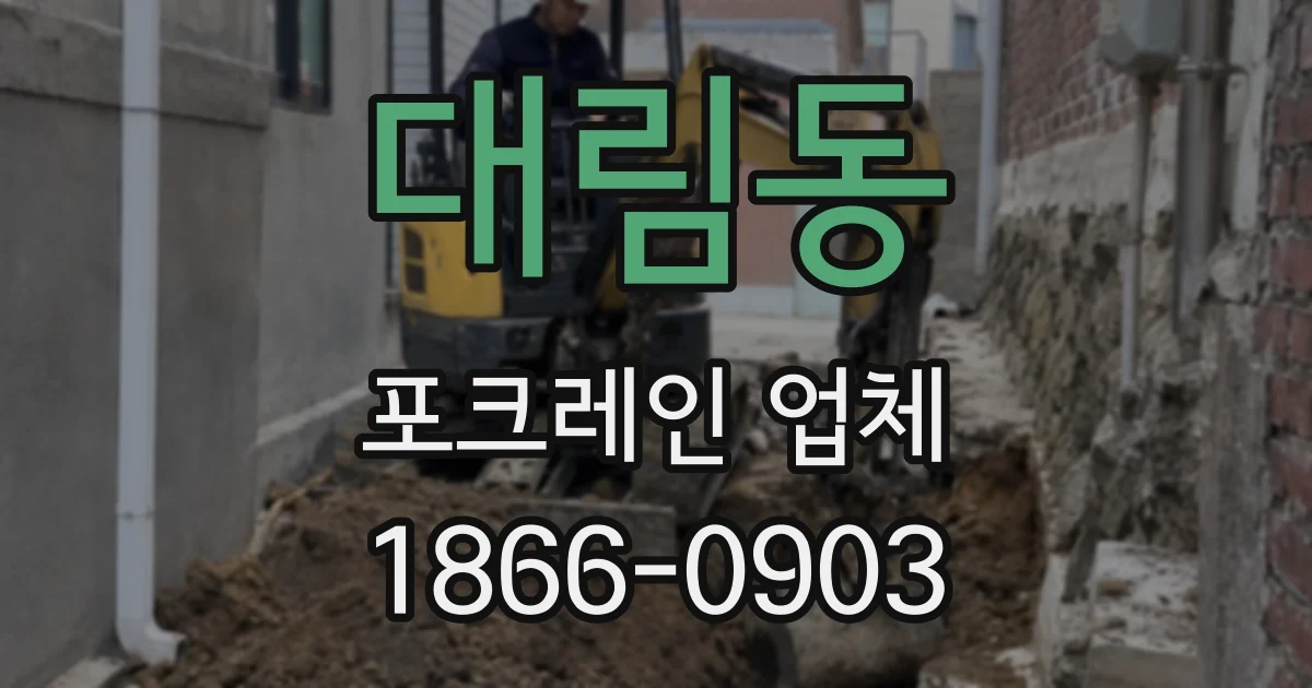 대림동 포크레인 업체