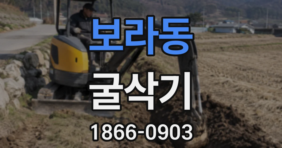 보라동 굴삭기