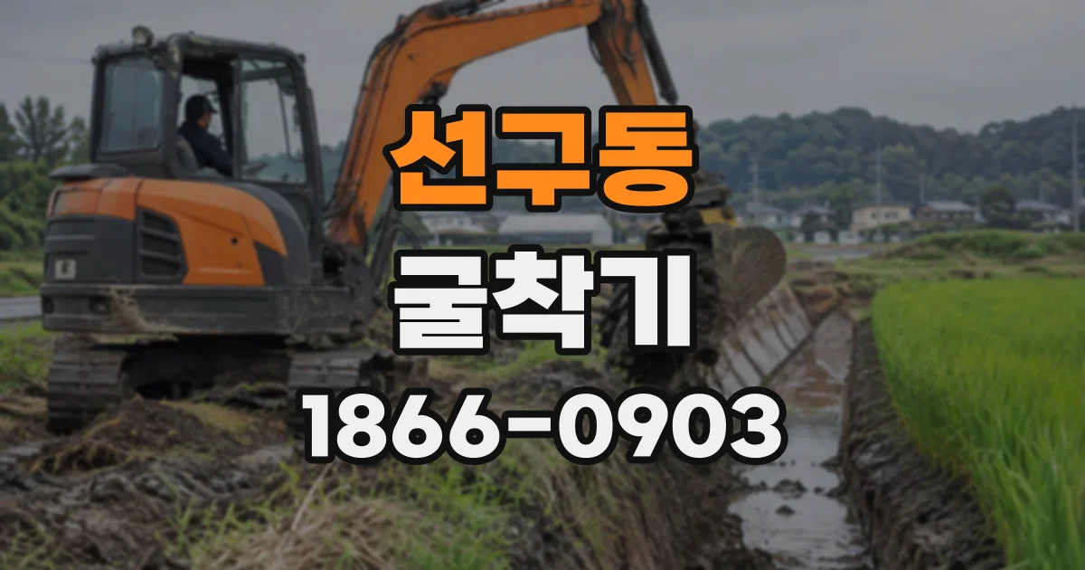 선구동 굴착기