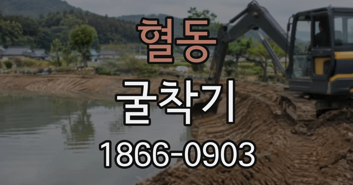 혈동 굴착기