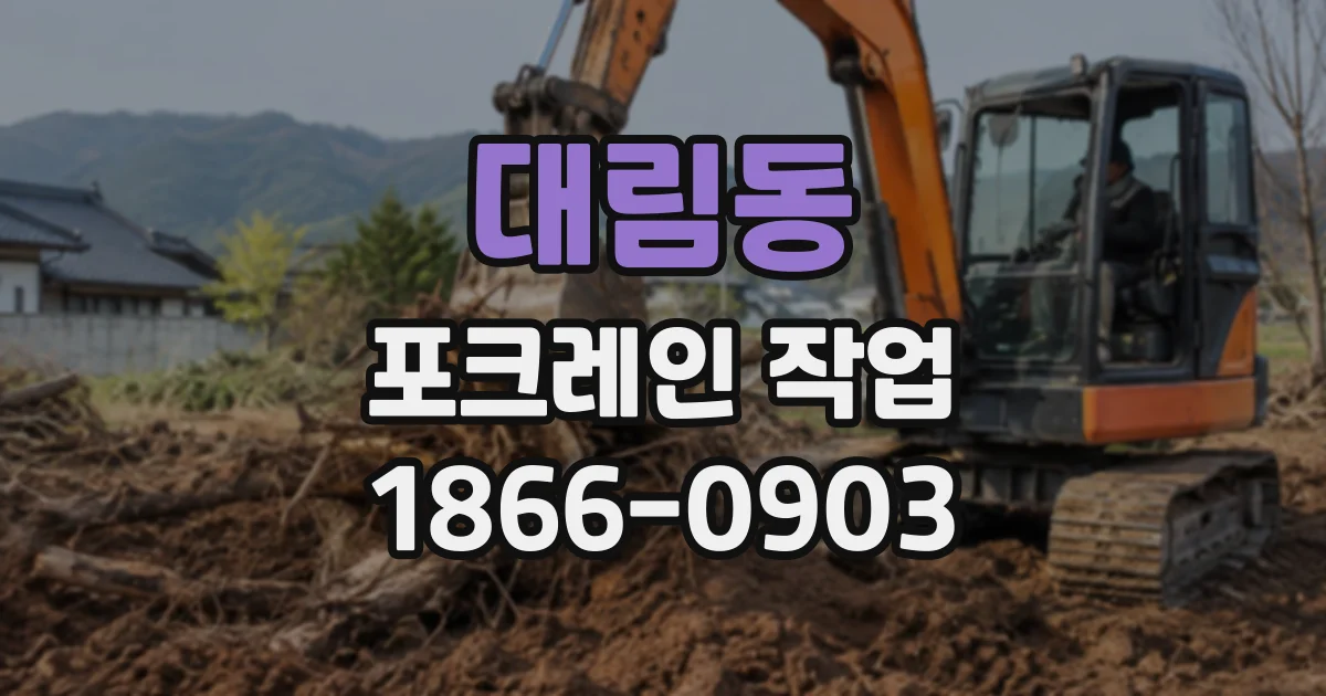 대림동 포크레인작업