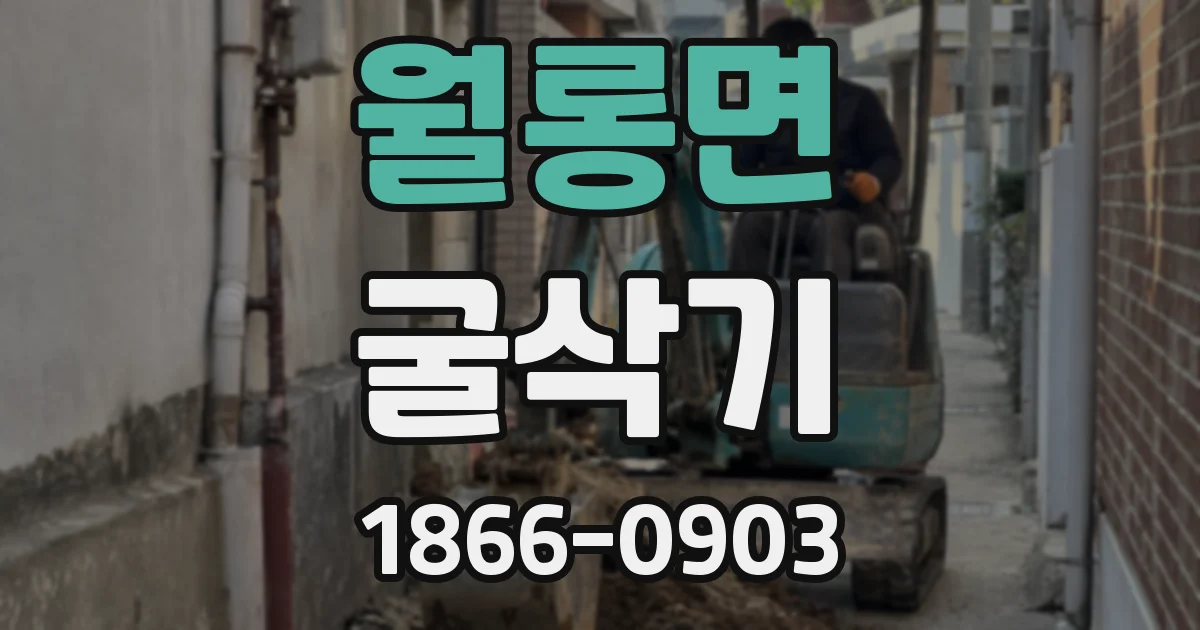월롱면 굴삭기