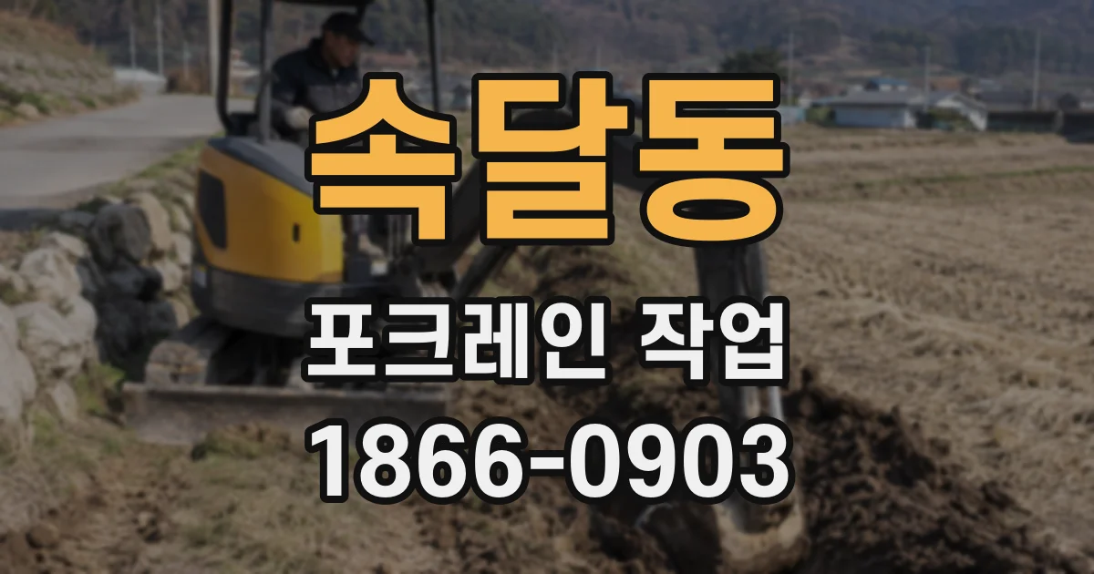 속달동 포크레인 작업