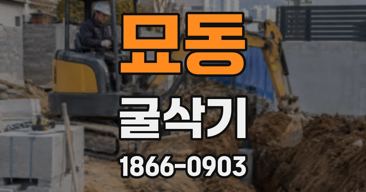묘동 굴삭기