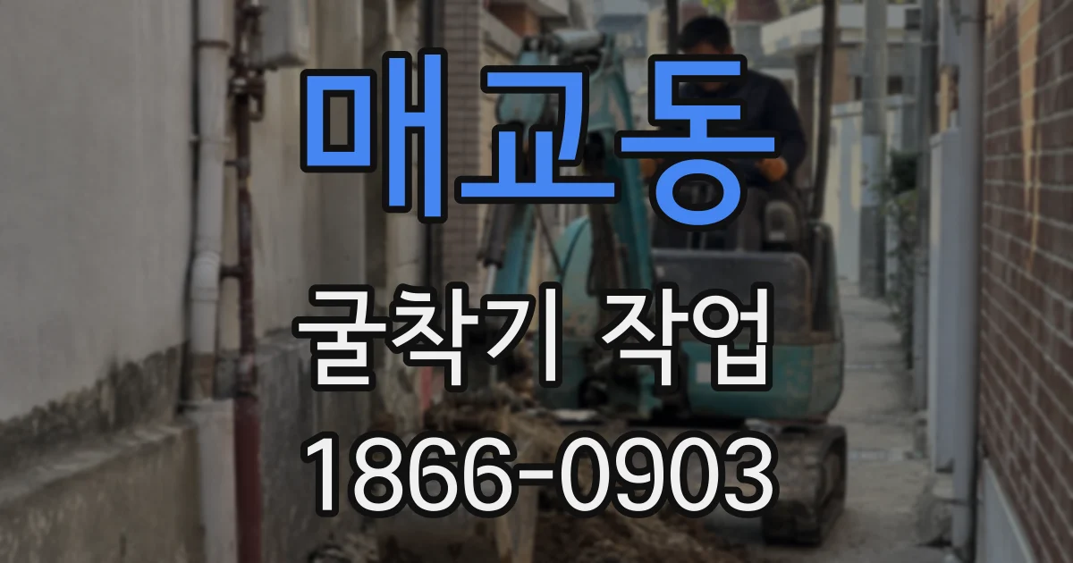 매교동 굴착기 작업