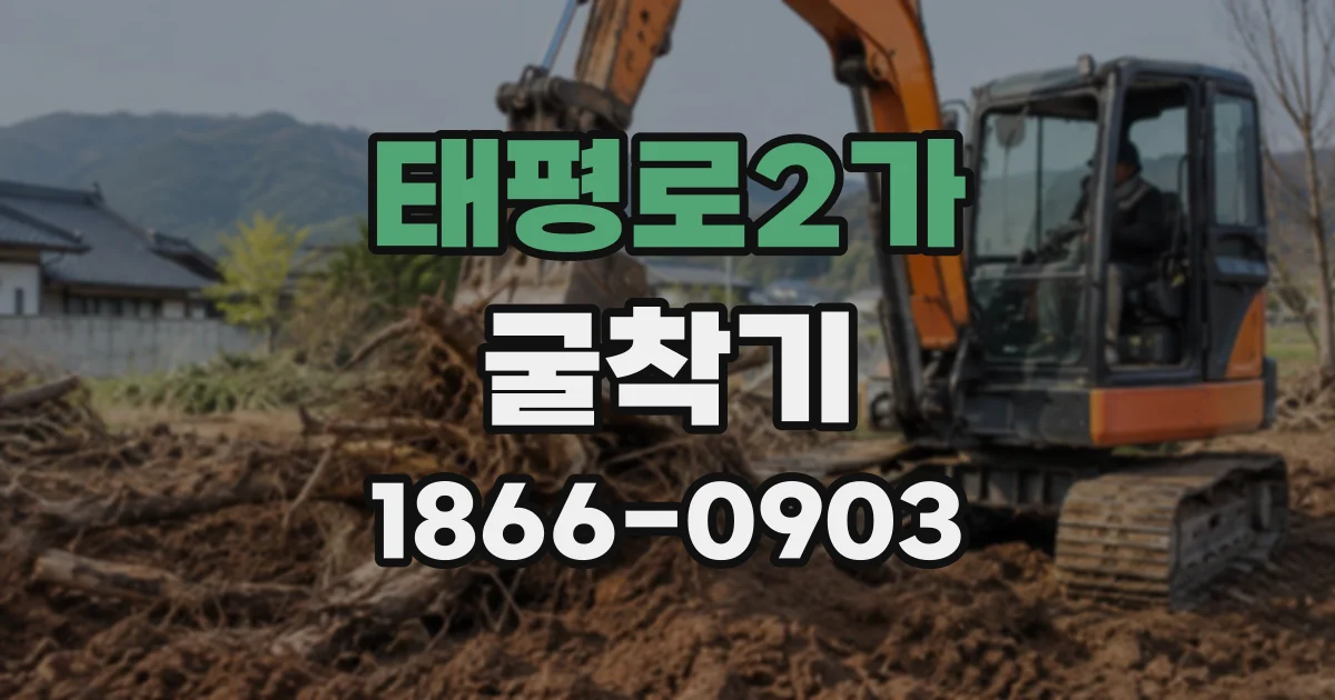 태평로2가 굴착기