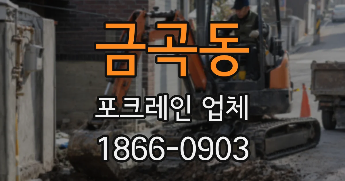 금곡동 포크레인 업체