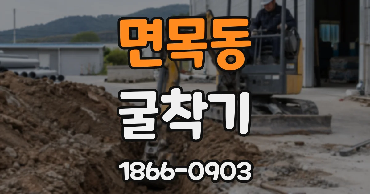 면목동 굴착기