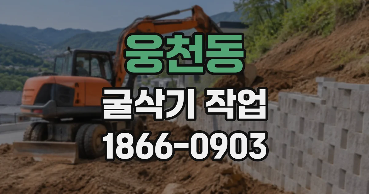 웅천동 굴삭기작업