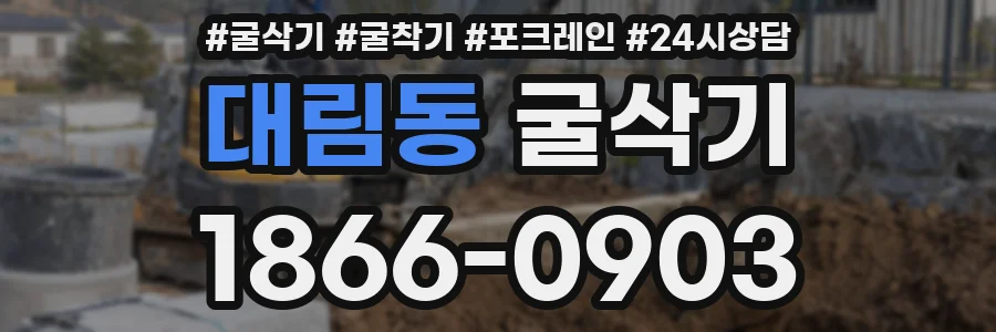 대림동 굴삭기