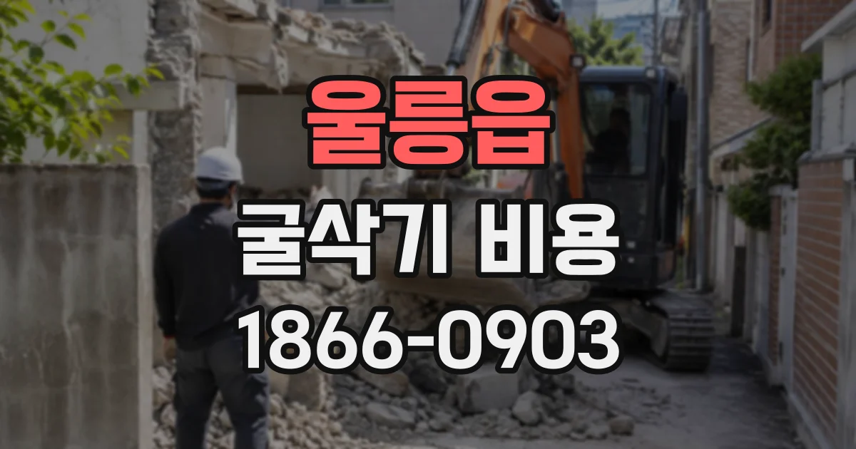 울릉읍 굴삭기비용