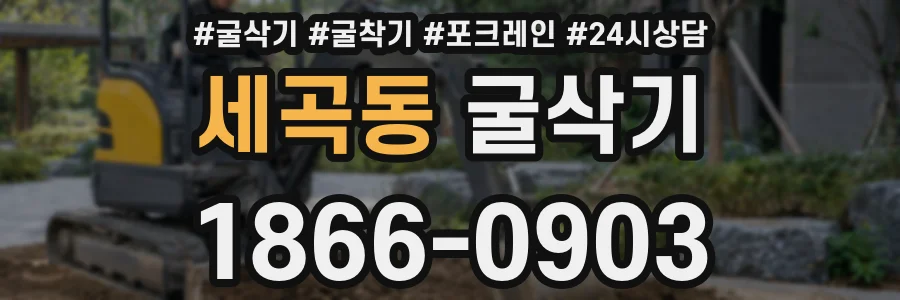 세곡동 굴삭기