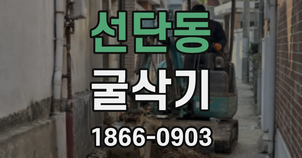 선단동 굴삭기