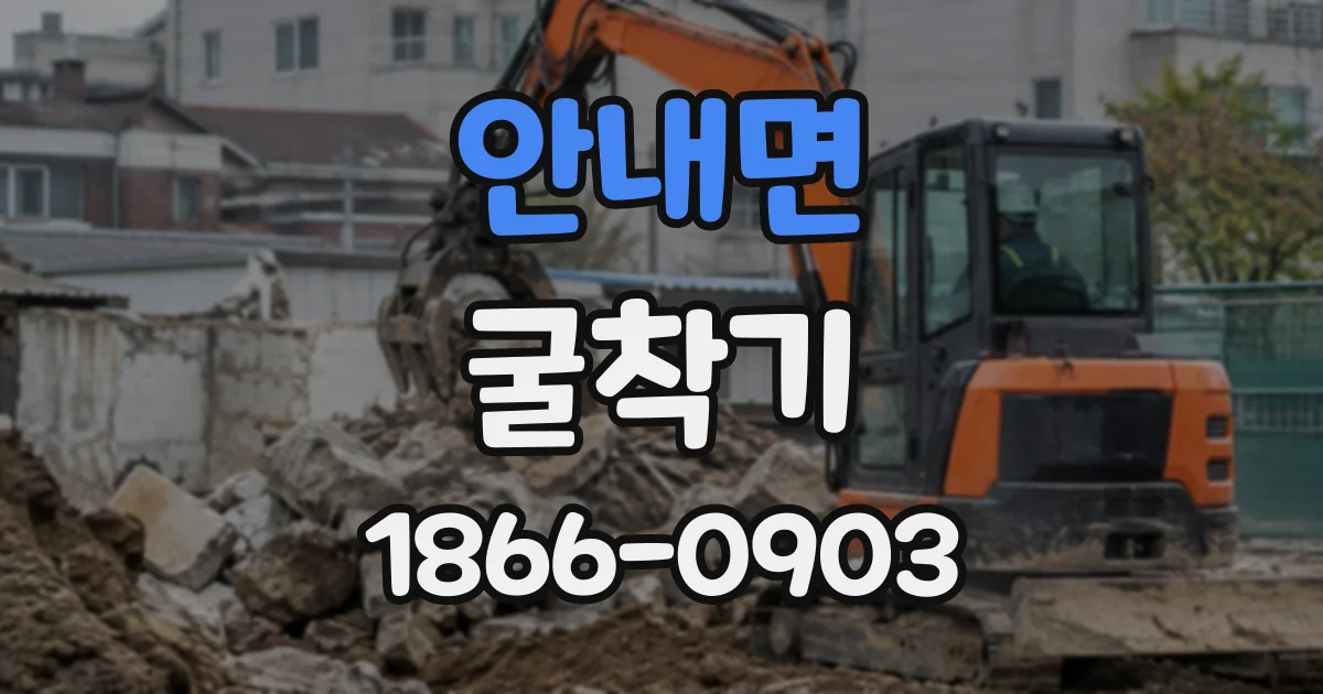 안내면 굴착기