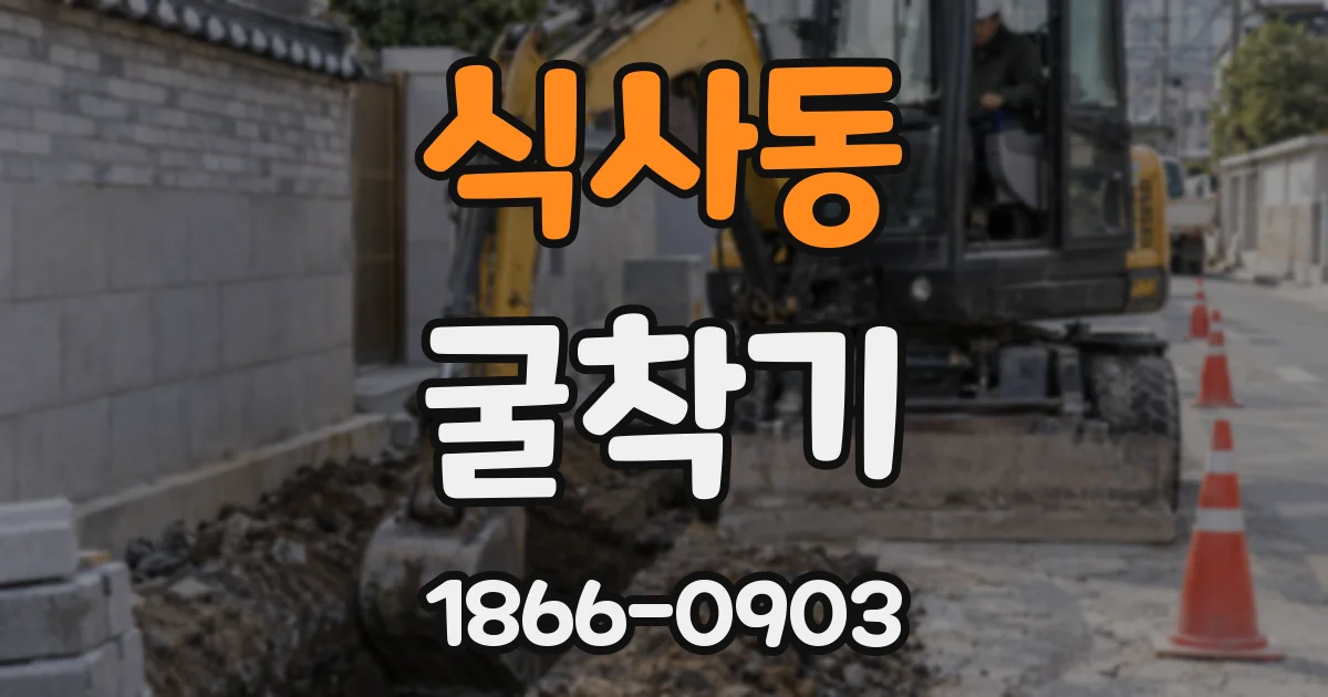 식사동 굴착기