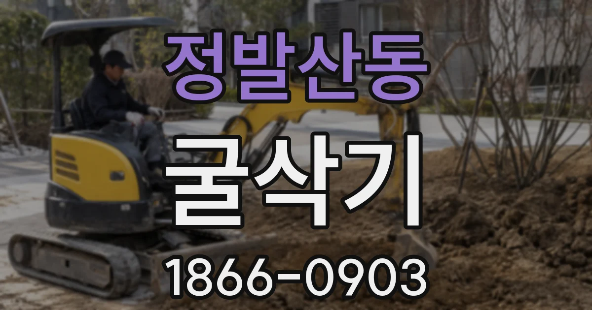 정발산동 굴삭기