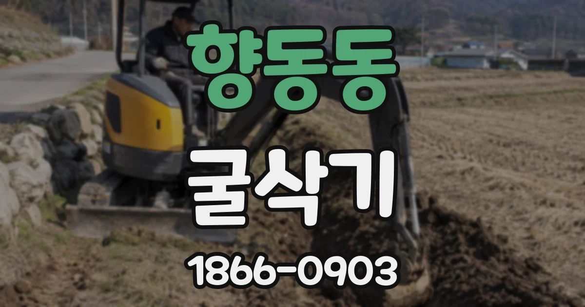향동동 굴삭기