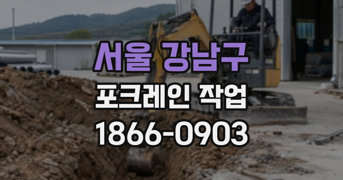 서울 강남구 포크레인 작업