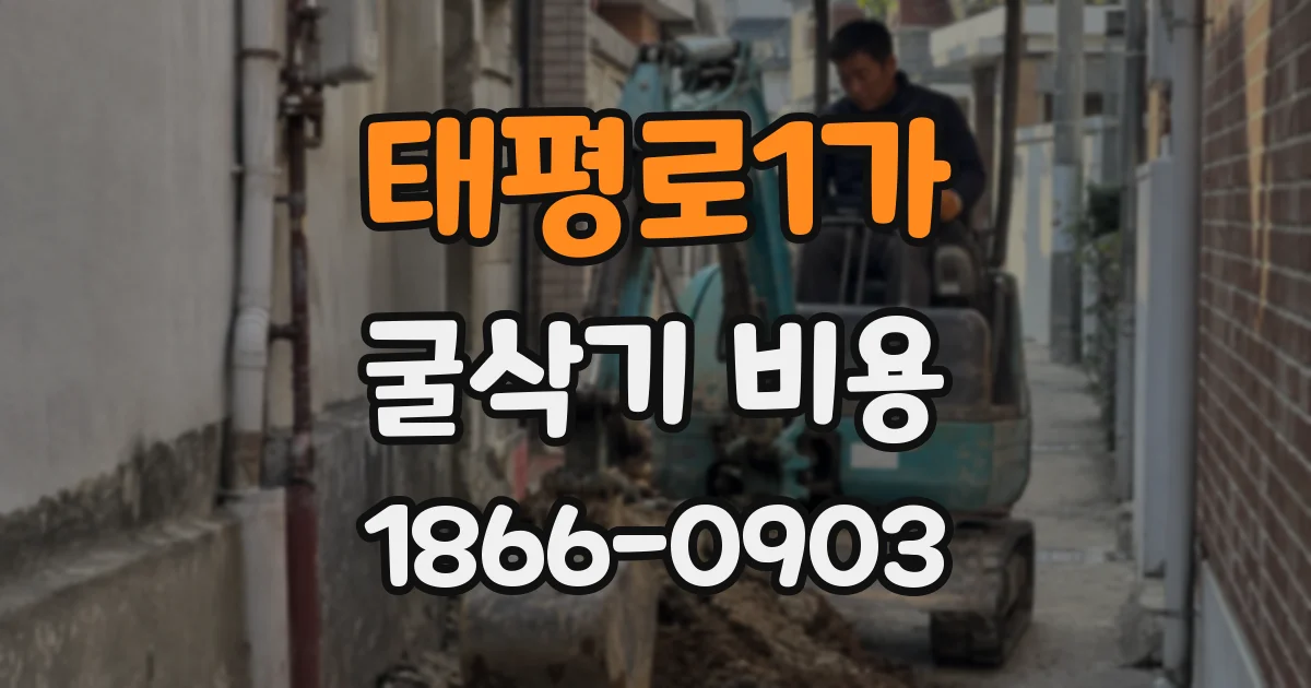 태평로1가 굴삭기 비용