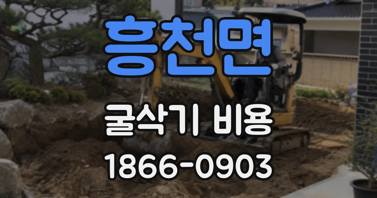 흥천면 굴삭기 비용