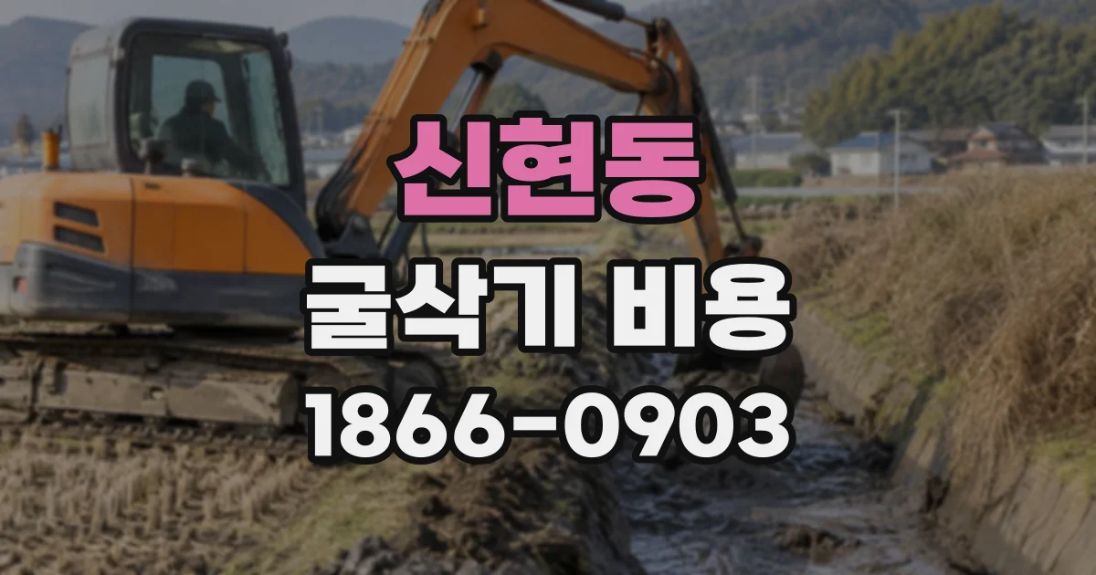 신현동 굴삭기비용