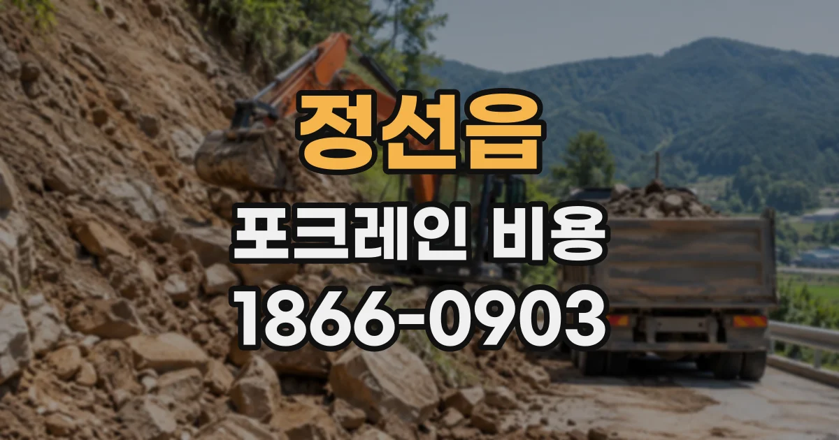 정선읍 포크레인비용