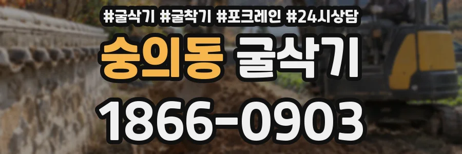 숭의동 굴삭기
