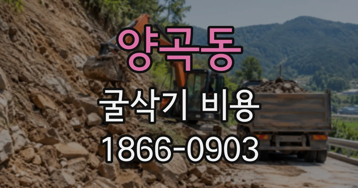 양곡동 굴삭기비용