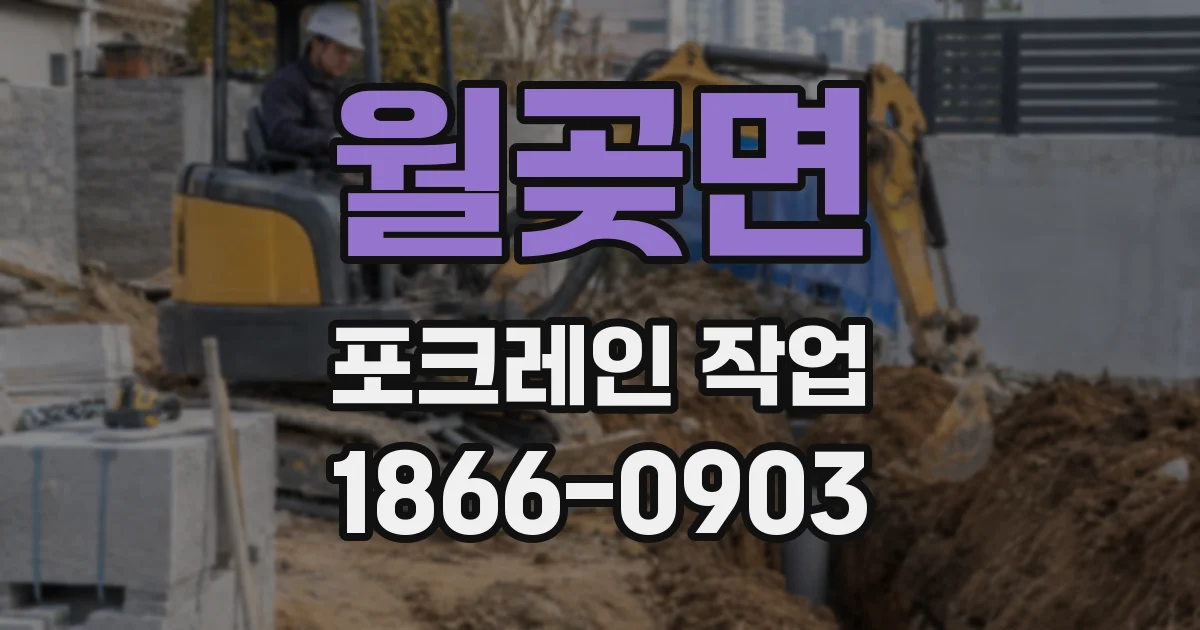 월곶면 포크레인 작업