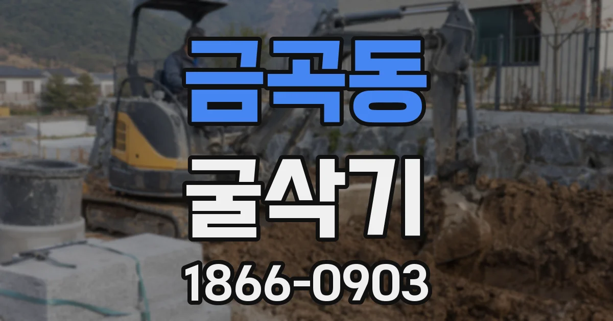 금곡동 굴삭기
