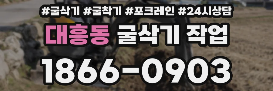 대흥동 굴삭기 작업