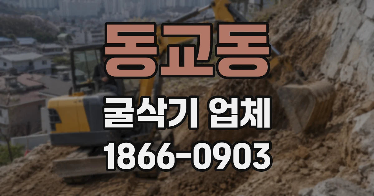 동교동 굴삭기 업체