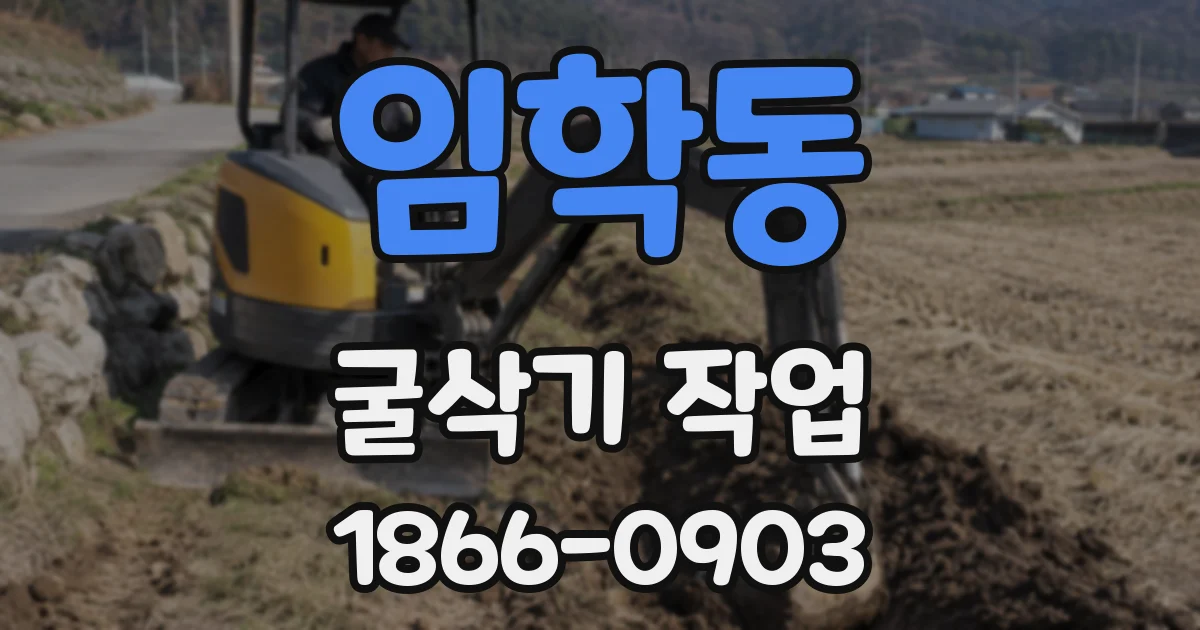 임학동 굴삭기 작업