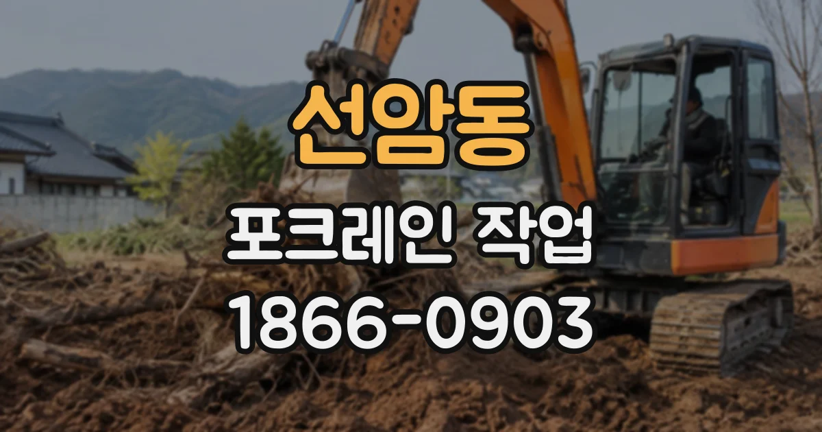 선암동 포크레인작업